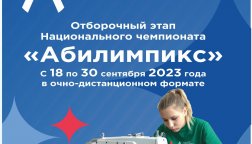 В Томской области пройдет отборочный этап Национального чемпионата «Абилимпикс» 2023 года